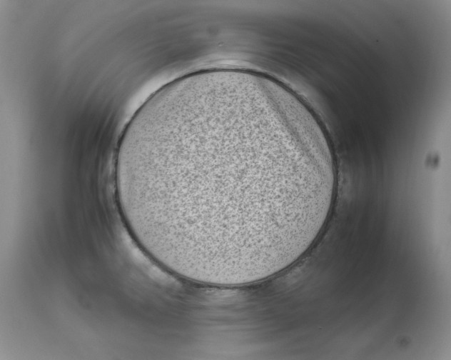 X0000114011382200910231805