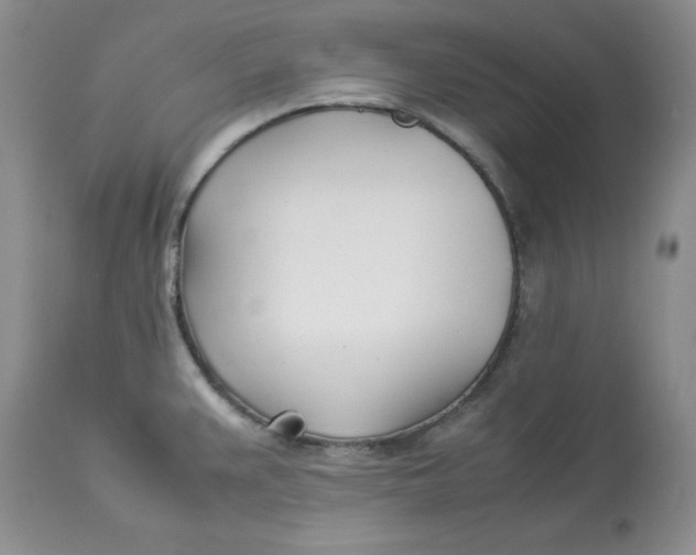 X0000114011383200910231805