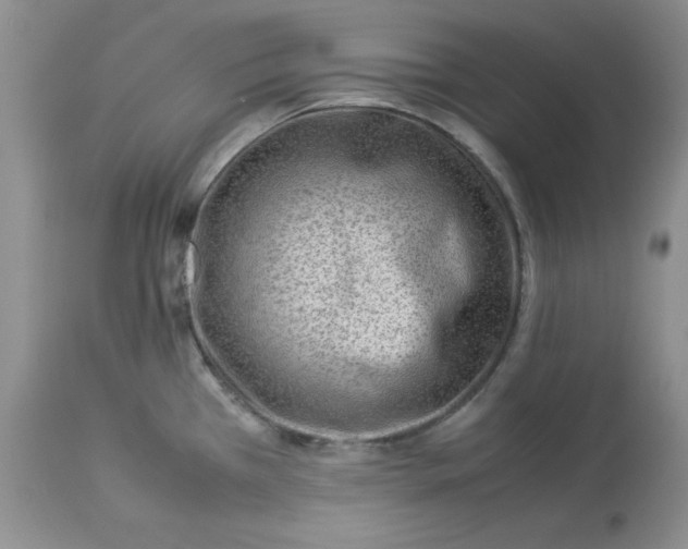 X0000114011385200910231805