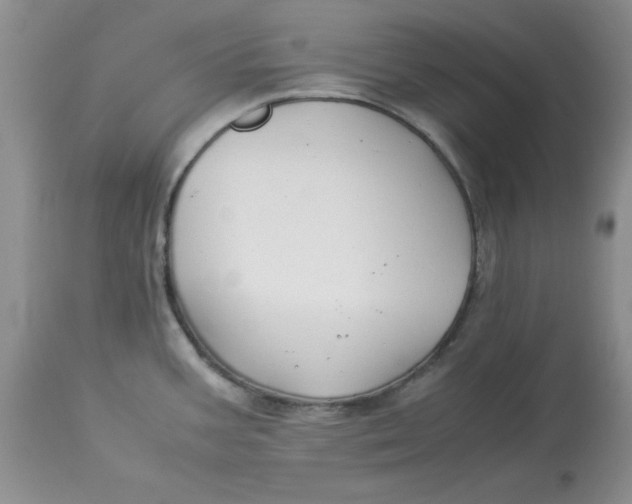 X0000114011387200910231805