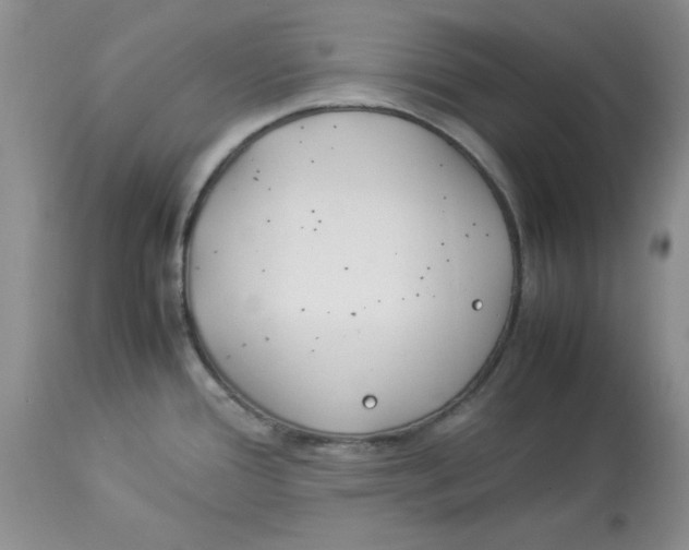 X0000114011388200910231805