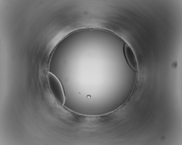 X0000114011389200910231805