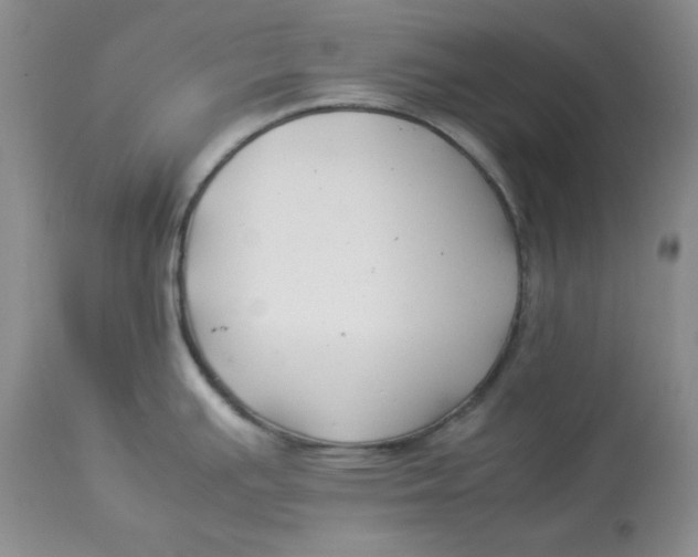 X0000114011391200910231805