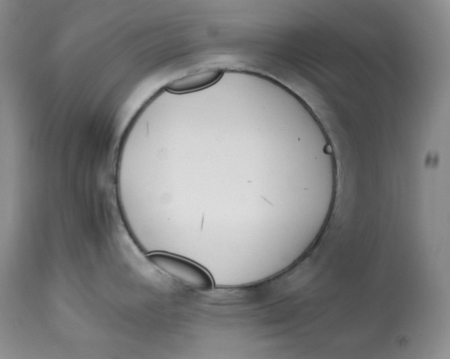 X0000114011392200910231805