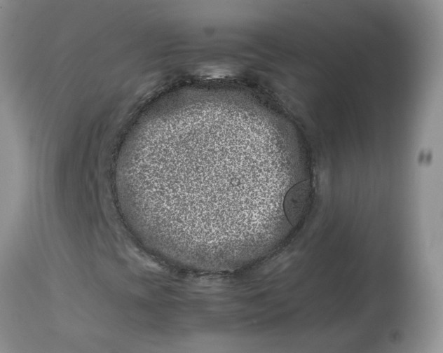 X0000114011393200910231804