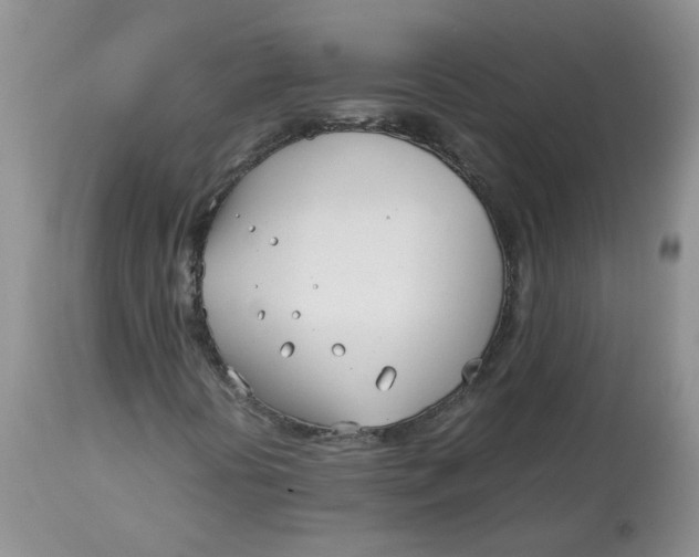 X0000114011394200910231804