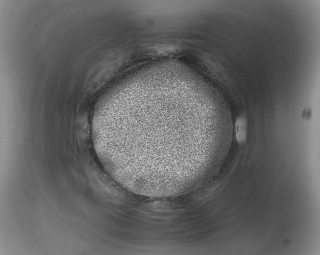 X0000114011395200910231804