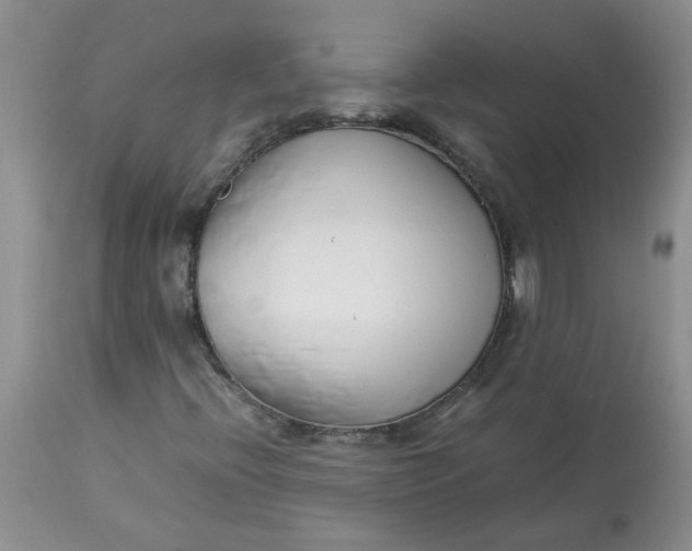 X0000114011396200910231804