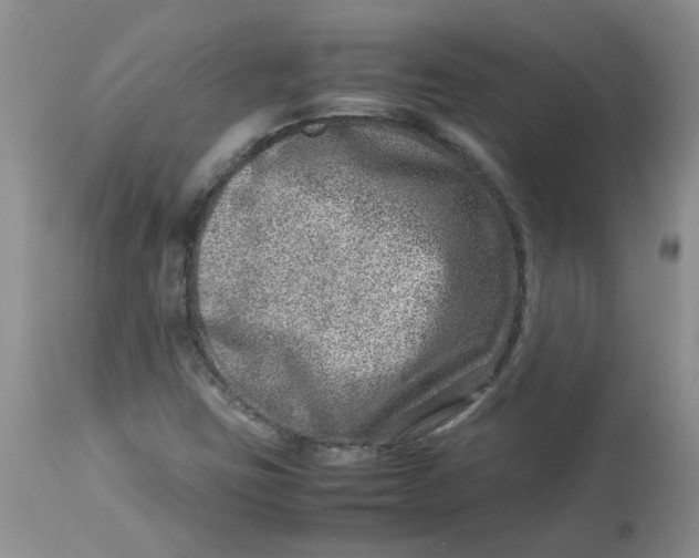 X0000114011403200910231804