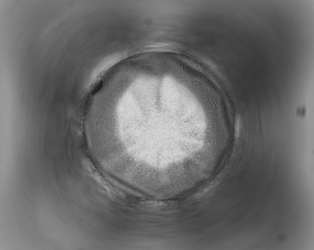 X0000114011405200910231804