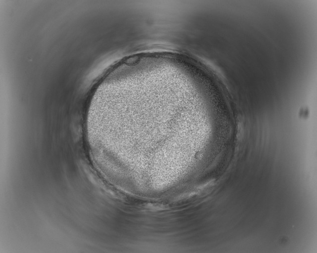 X0000114011407200910231804