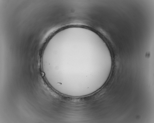 X0000114011408200910231804