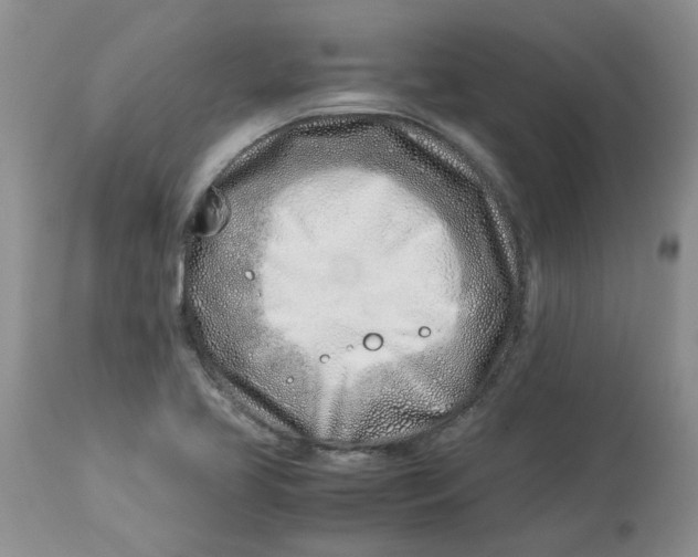 X0000114011413200910231804