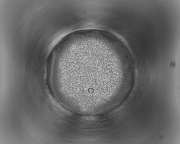 X0000114011415200910231804