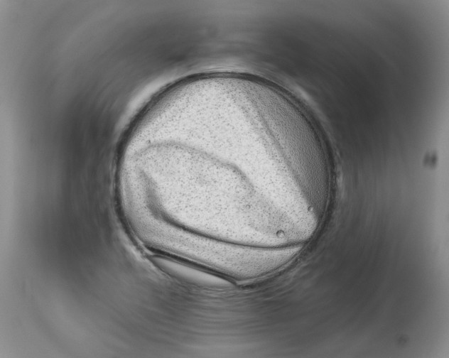 X0000114011416200910231804