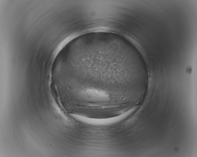 X0000114011418200910231804