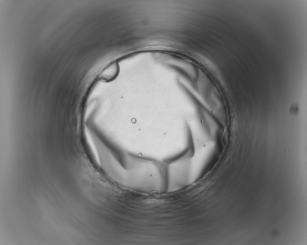 X0000114011419200910231804