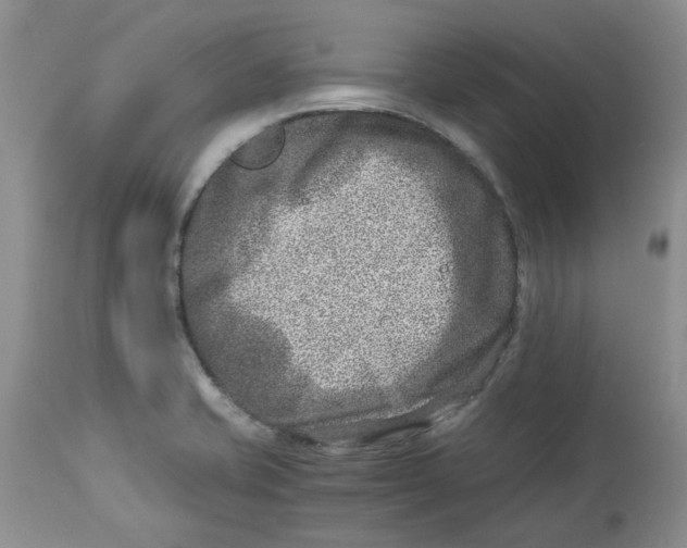 X0000114011421200910231804