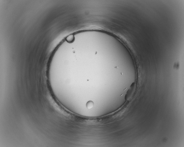 X0000114011422200910231805