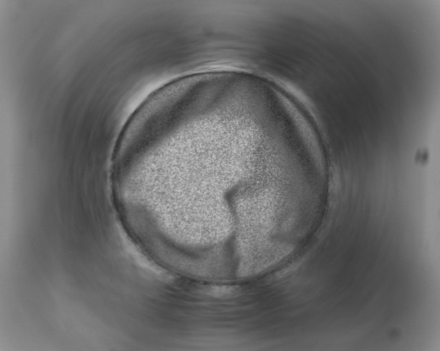 X0000114011423200910231805