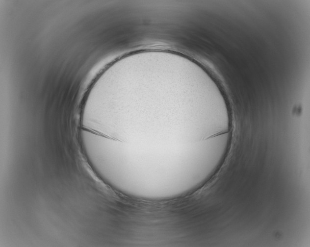 X0000114011424200910231805