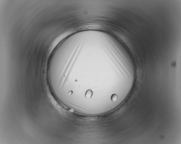 X0000114011426200910231805