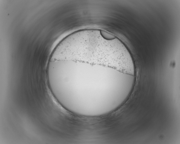 X0000114011428200910231805