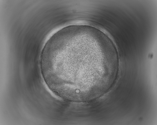 X0000114011429200910231805