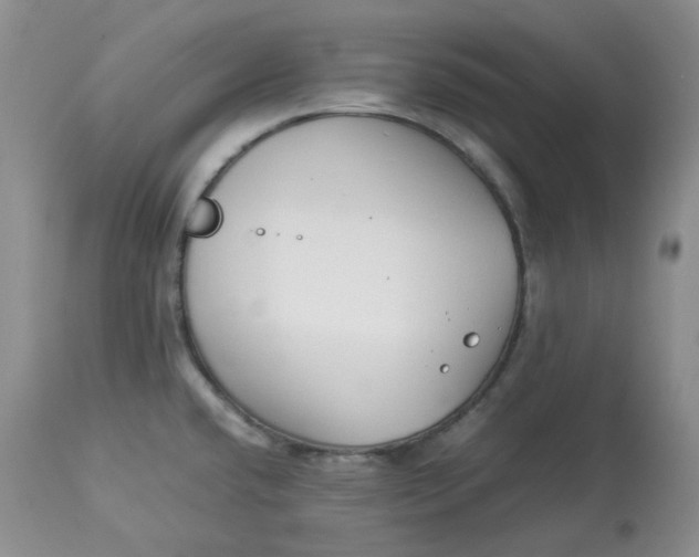 X0000114011432200910231805