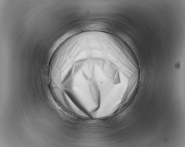 X0000114011434200910231805