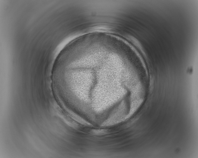 X0000114011435200910231805