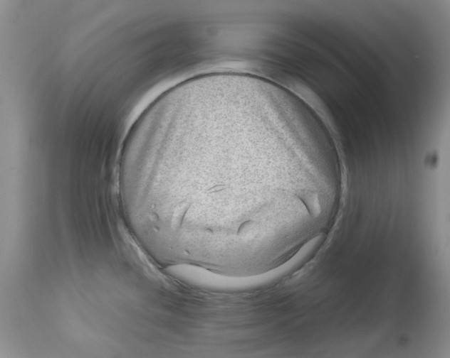 X0000114011436200910231805