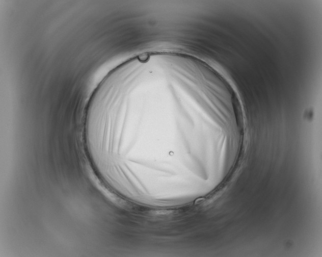 X0000114011437200910231805