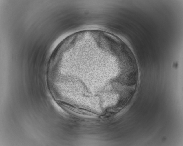 X0000114011438200910231805