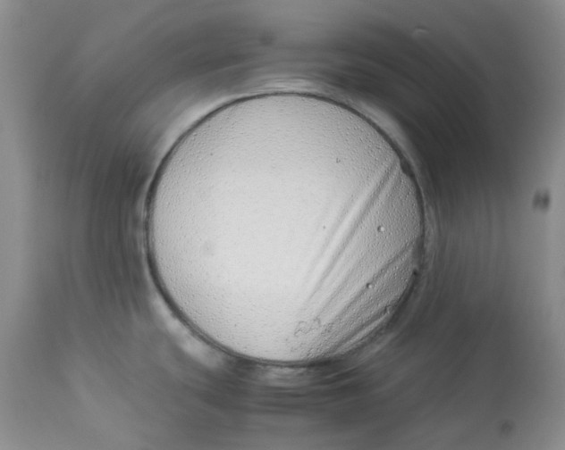 X0000114011439200910231805