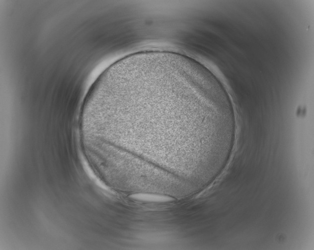 X0000114011440200910231805