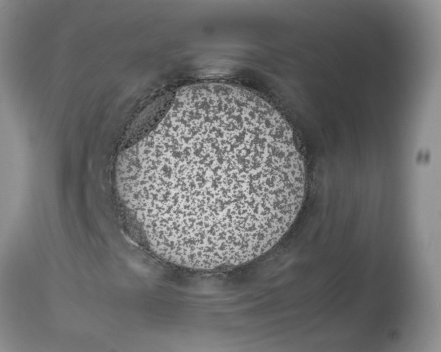 X0000114011441200910231804