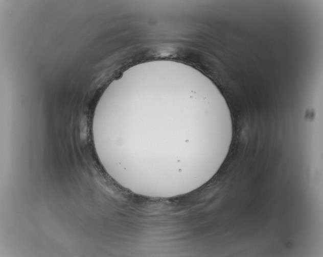 X0000114011442200910231804