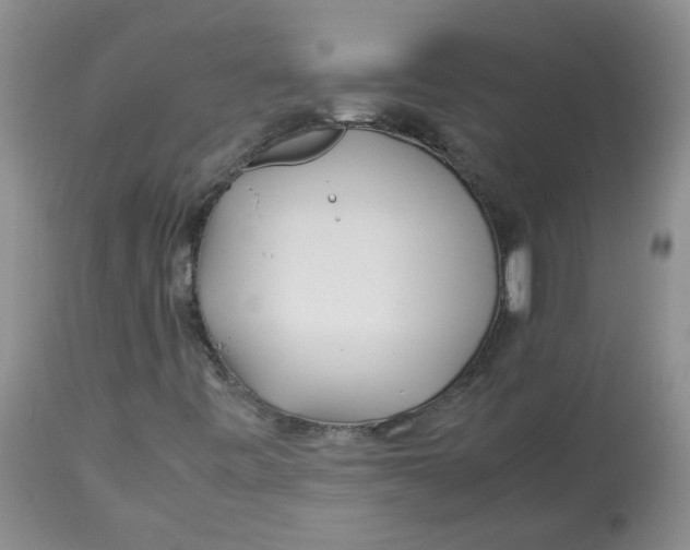 X0000114011443200910231804