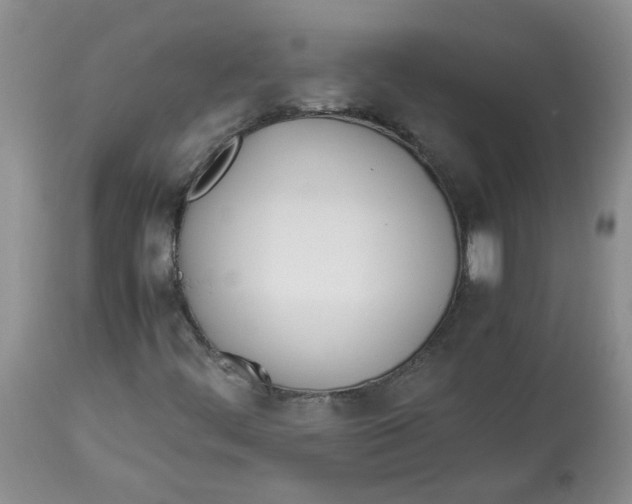 X0000114011444200910231804