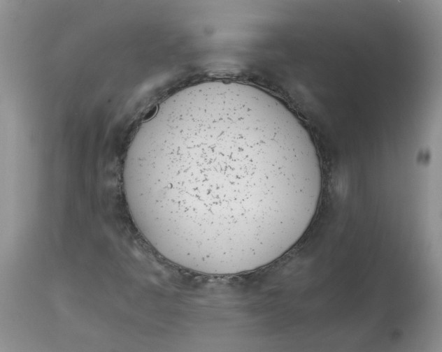 X0000114011445200910231804