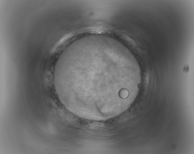 X0000114011446200910231804