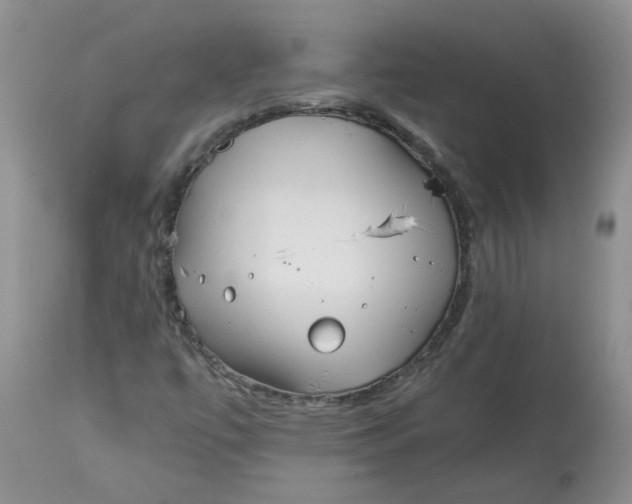 X0000114011447200910231804