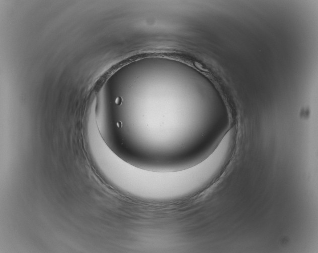 X0000114011449200910231804