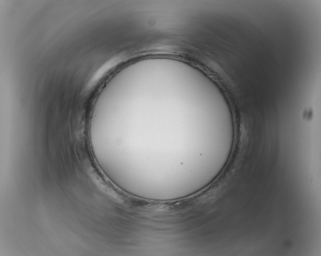 X0000114011450200910231804