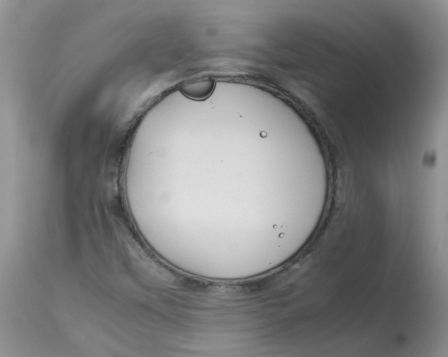 X0000114011451200910231804