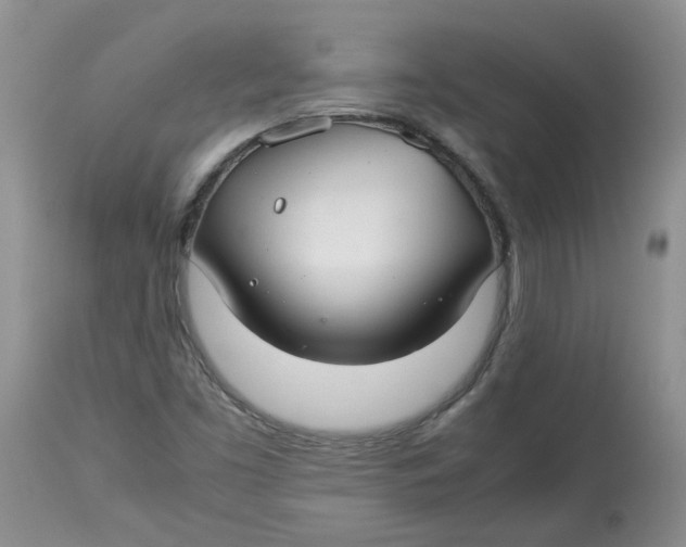 X0000114011453200910231804