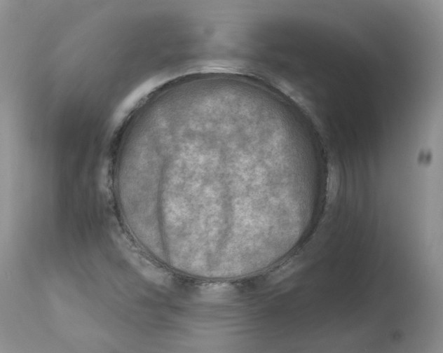 X0000114011454200910231804