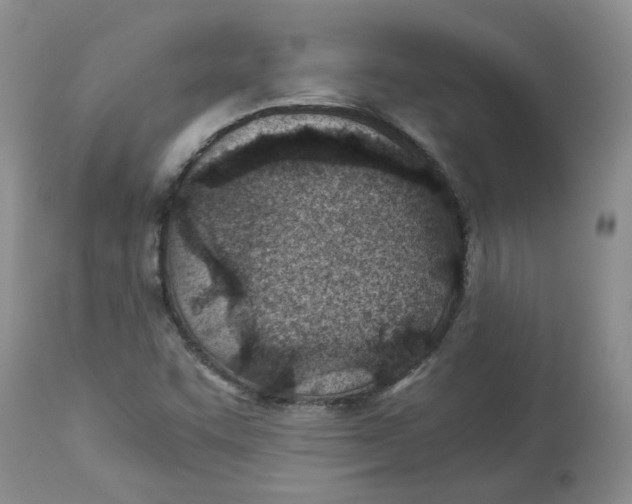 X0000114011455200910231804