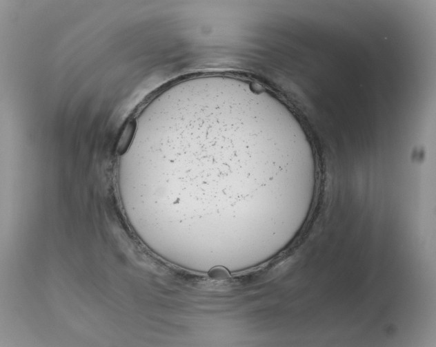 X0000114011457200910231804